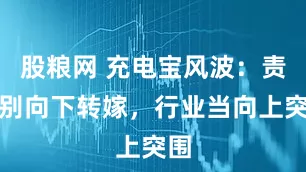 股粮网 充电宝风波：责任别向下转嫁，行业当向上突围