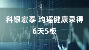 科银宏泰 均瑶健康录得6天5板