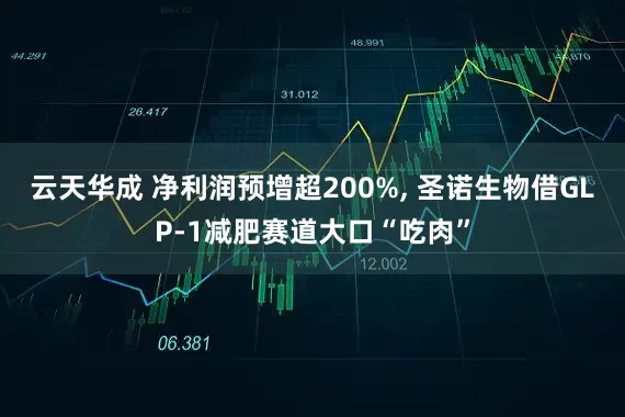 云天华成 净利润预增超200%, 圣诺生物借GLP-1减肥赛道大口“吃肉”