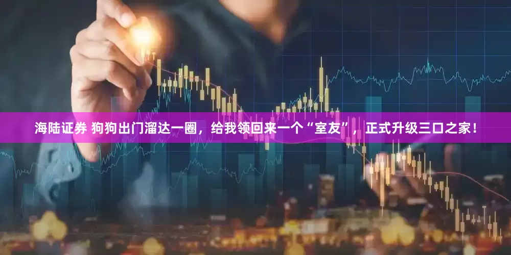 海陆证券 狗狗出门溜达一圈,给我领回来一个“室友”,正式升级三口之家!