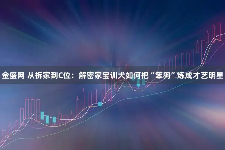 金盛网 从拆家到C位：解密家宝训犬如何把“笨狗”炼成才艺明星